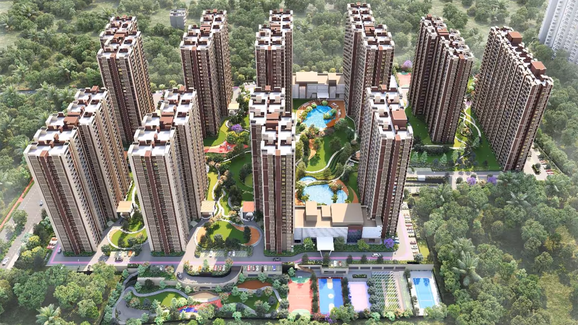 Kalyani Living Tree